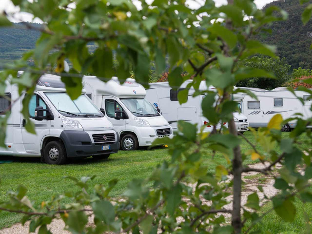 AGRICAMPEGGIO LALBERO DELLE MELE - Convenzioni e Aree di sosta Camper e  Caravan | PLEINAIRCLUB