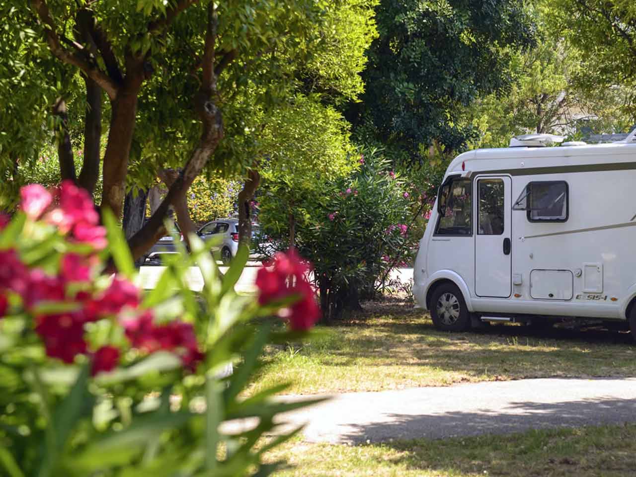 Camping Zeus Convenzioni E Aree Di Sosta Camper E Caravan Pleinairclub 6515